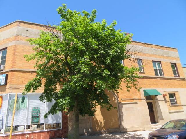 1552 W Highland AVE #2E, Chicago, IL 60660