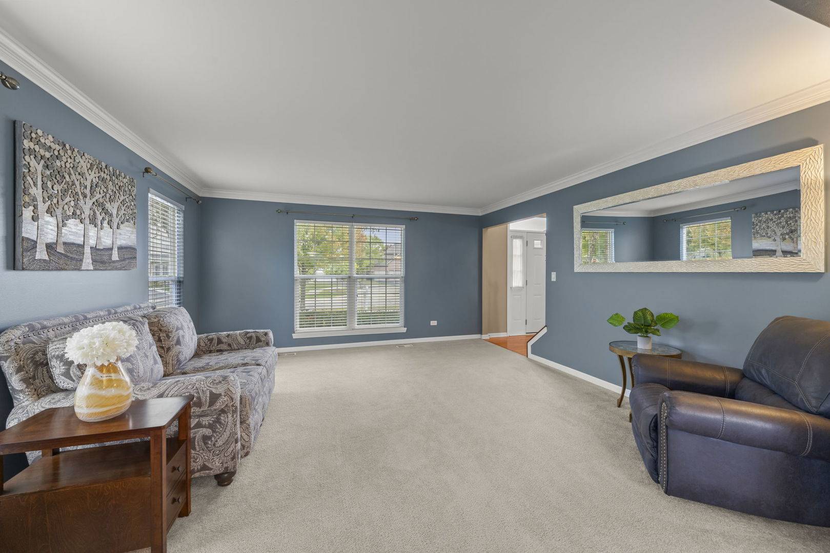 13521 Arborview CIR, Plainfield, IL 60585