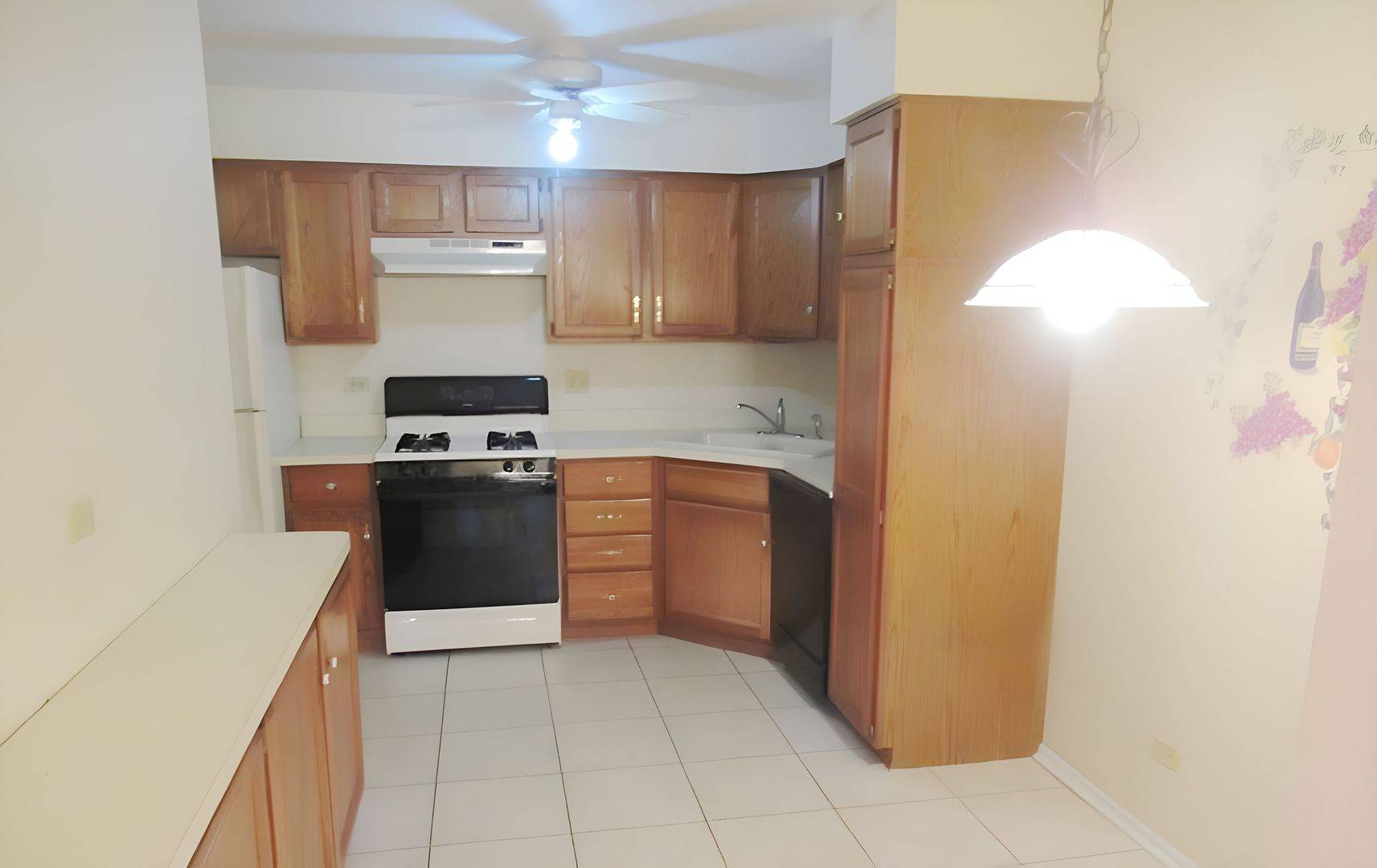 150 Lake BLVD #118, Buffalo Grove, IL 60089