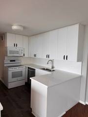 505 N Lake Shore DR #1407-1408, Chicago, IL 60611