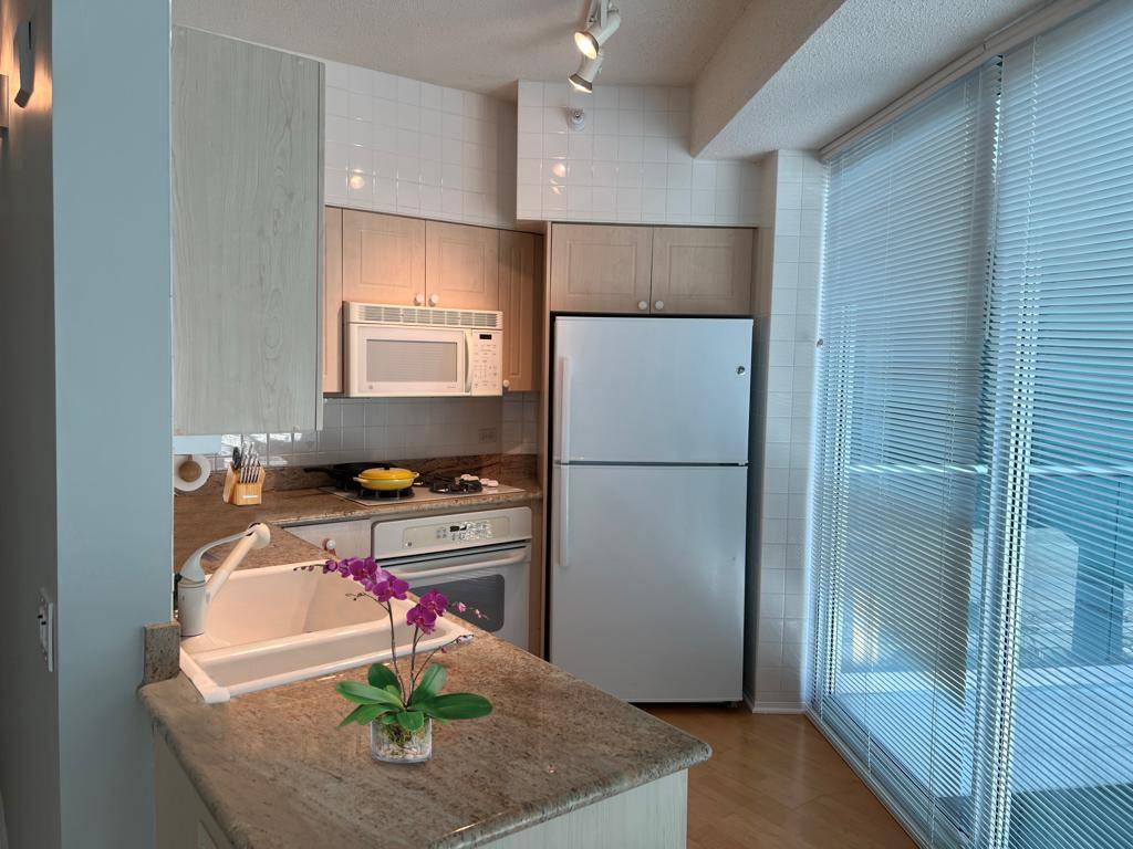 1720 Maple AVE #204, Evanston, IL 60201