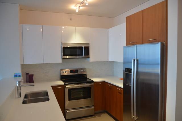 Address not disclosed, Chicago, IL 60616