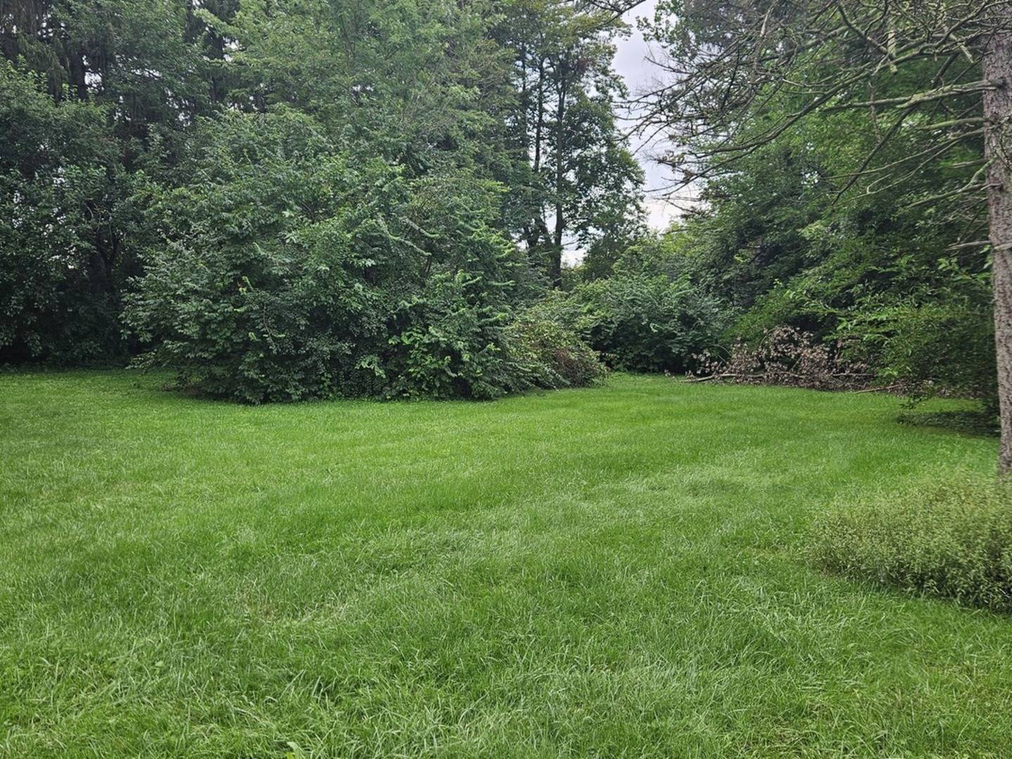 419 W 63rd ST, Westmont, IL 60559