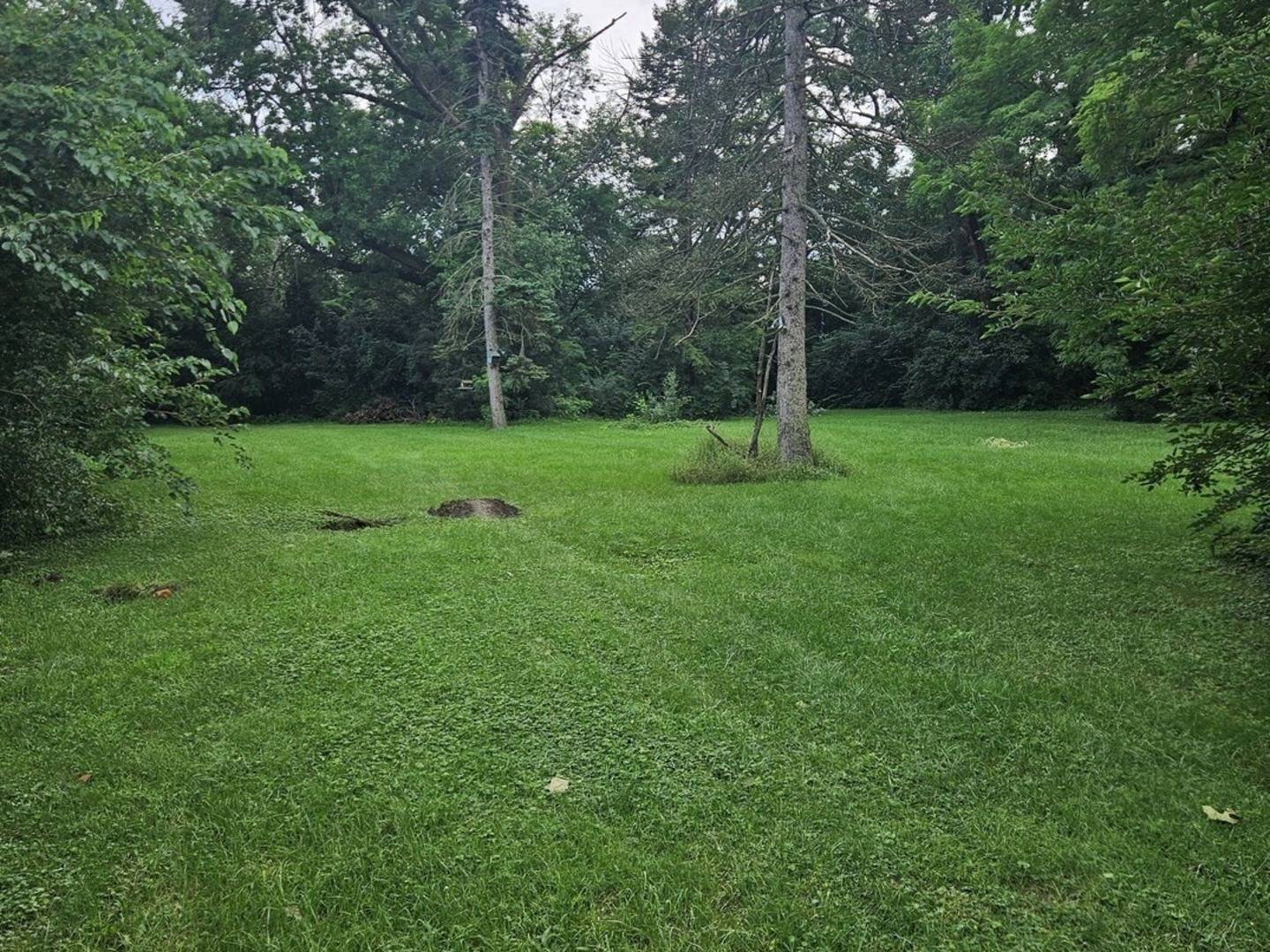 419 W 63rd ST, Westmont, IL 60559