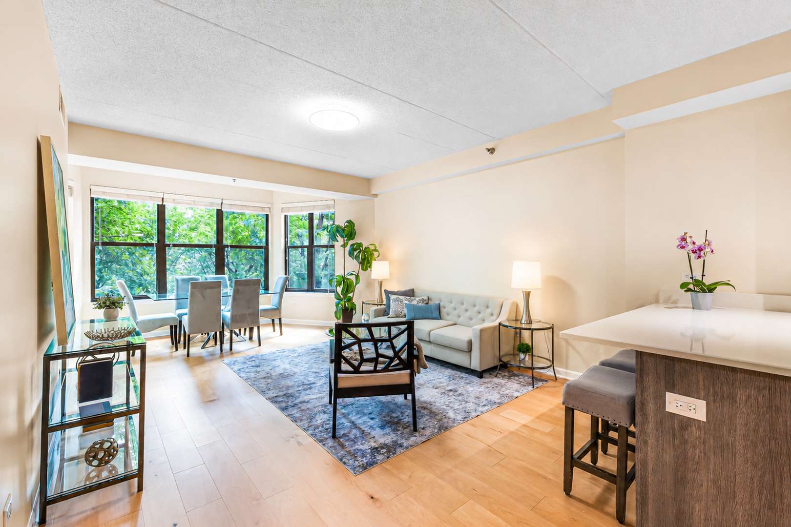 1250 S Indiana AVE #307, Chicago, IL 60605