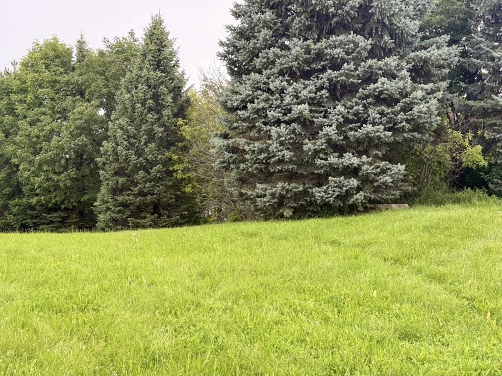 510 Enclave DR, Cary, IL 60013