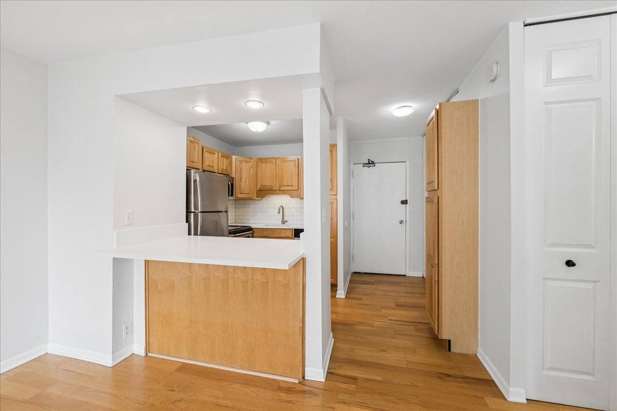 1255 N Sandburg TER #1508, Chicago, IL 60610