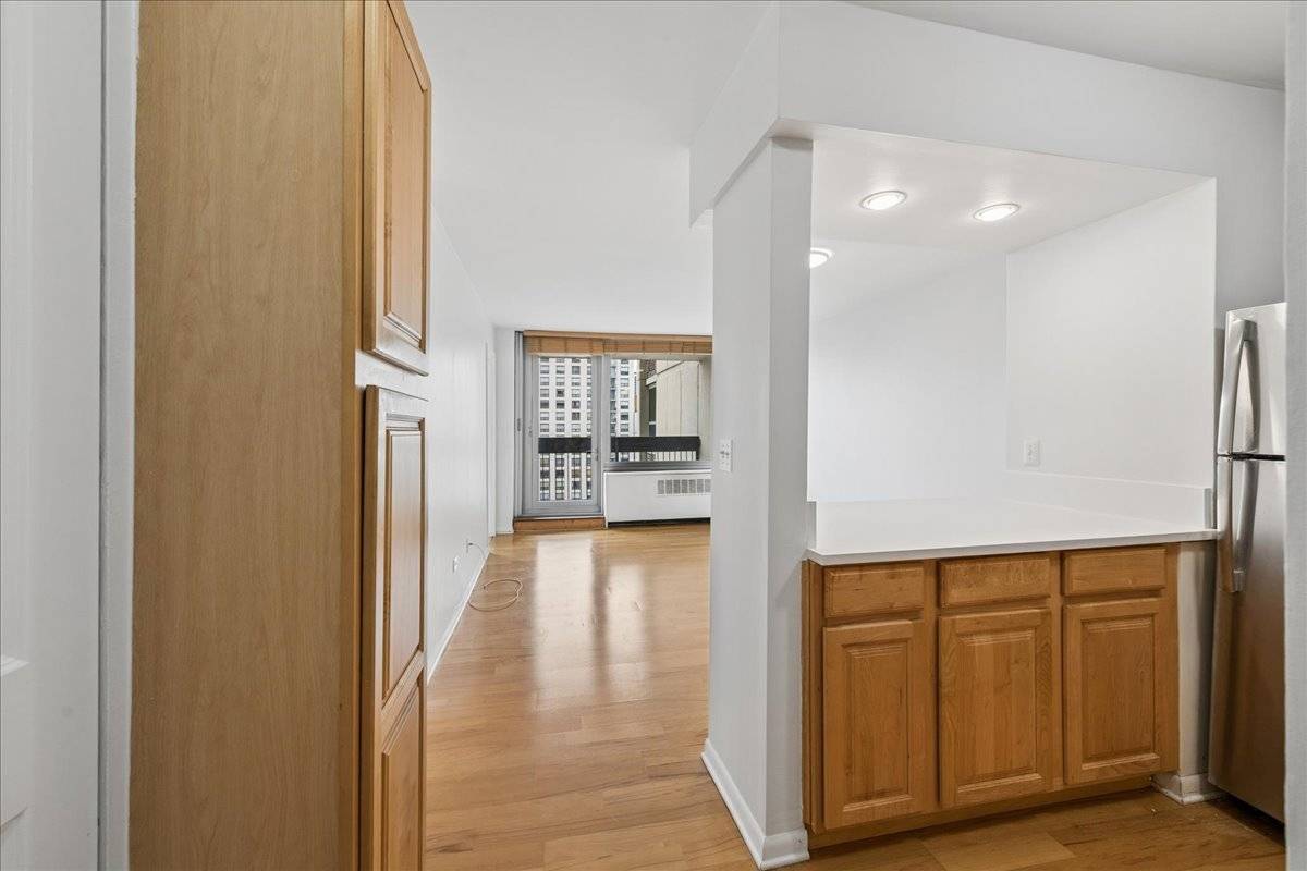 1255 N Sandburg TER #1508, Chicago, IL 60610