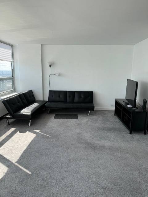 4800 S Chicago Beach DR #2710N, Chicago, IL 60615