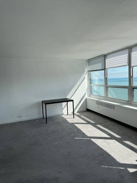 4800 S Chicago Beach DR #2710N, Chicago, IL 60615