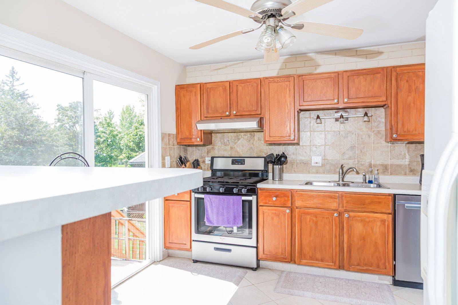 248 HOOD CT, Bartlett, IL 60103