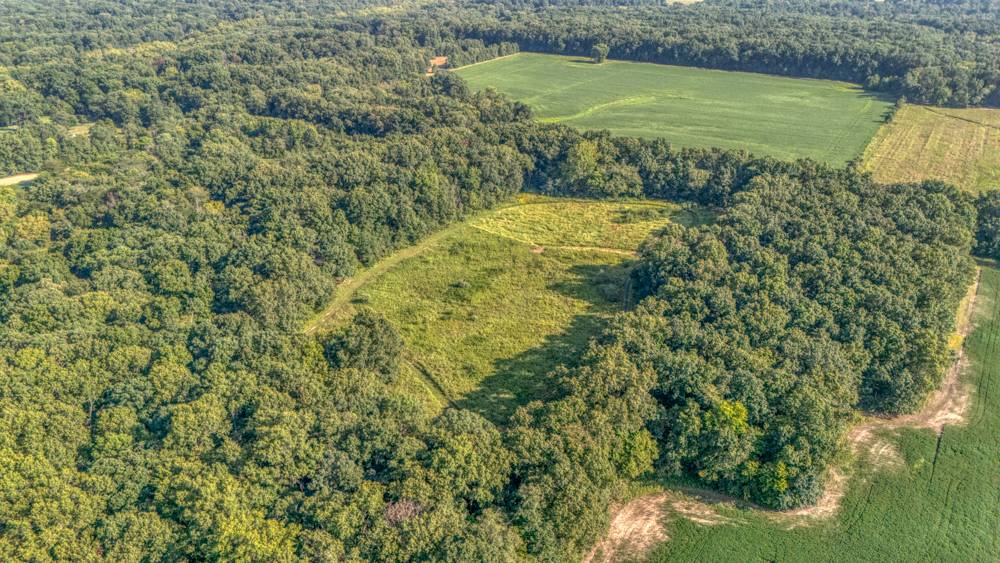 12493 E Baseline RD, Dix, IL 62830