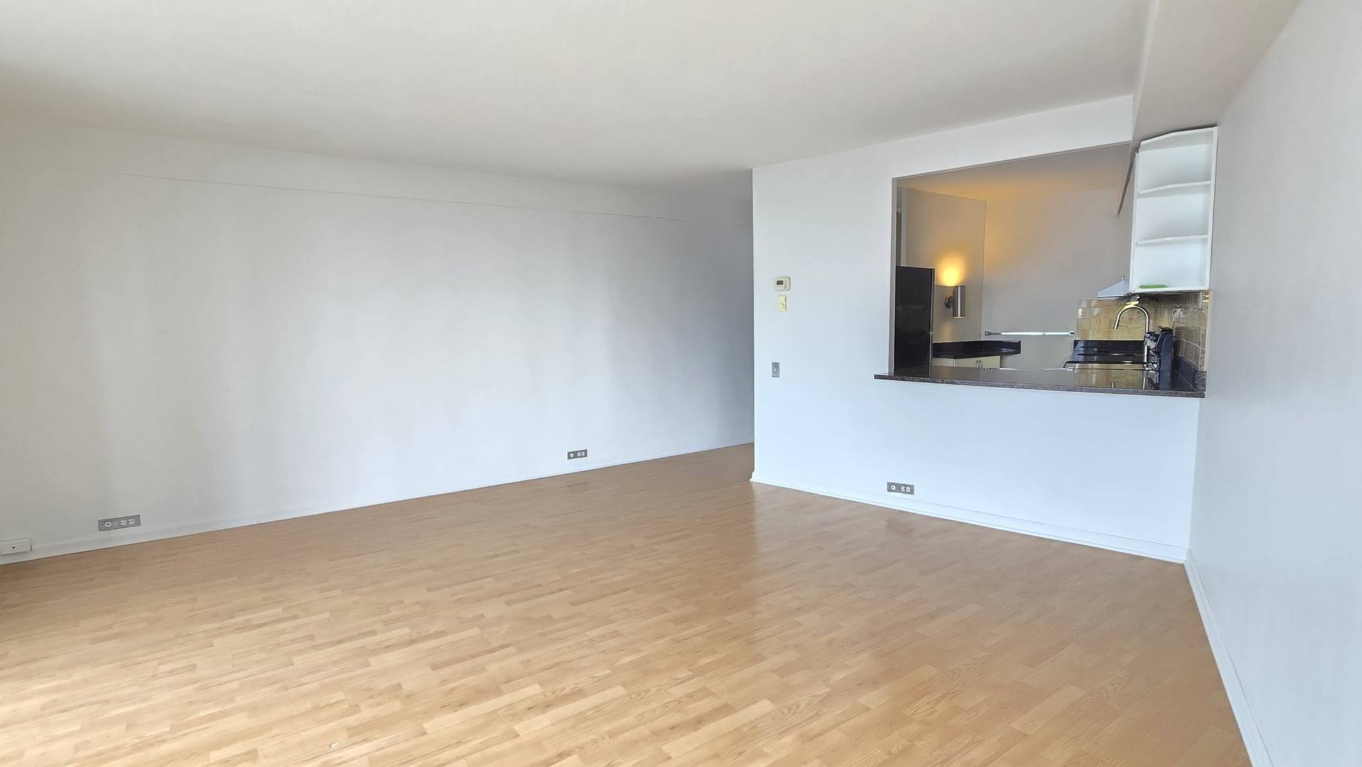 300 N State ST #5009, Chicago, IL 60654
