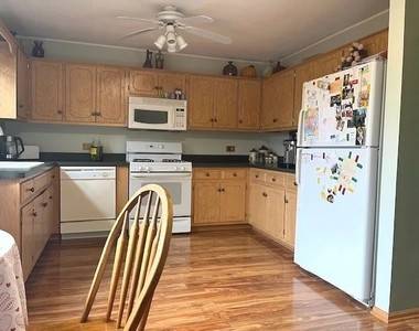 1005 Singer AVE, Lemont, IL 60439