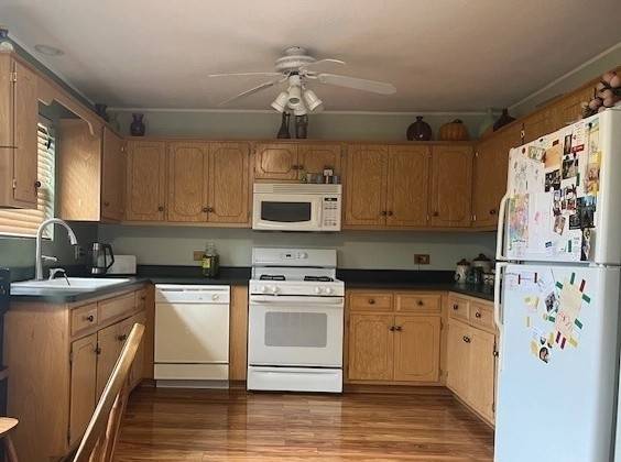 1005 Singer AVE, Lemont, IL 60439