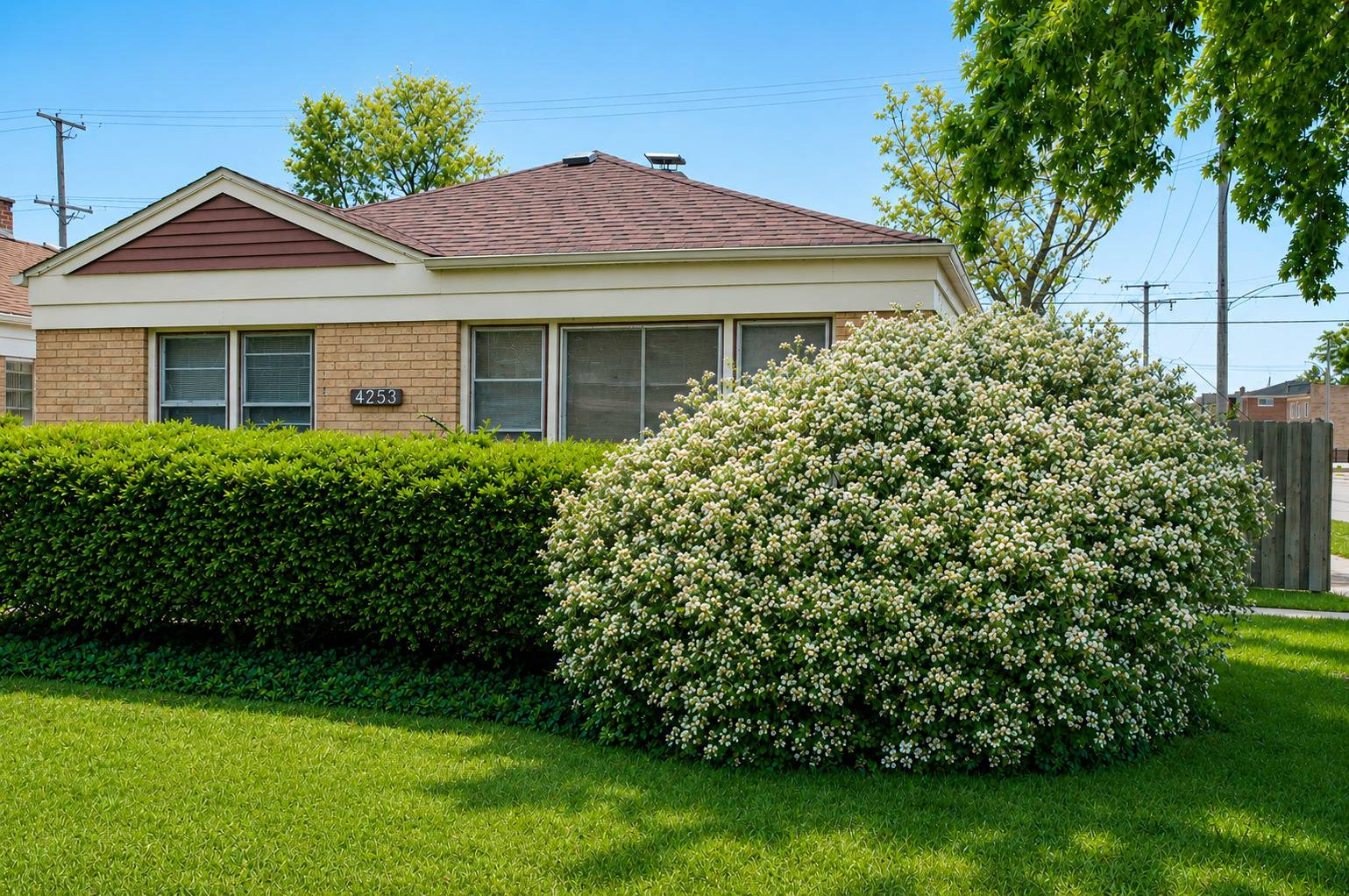 4253 Prescott AVE, Lyons, IL 60534
