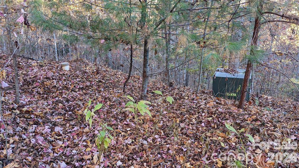 512 Wild River RUN #65, Marshall, NC 28753
