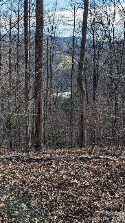 512 Wild River RUN #65, Marshall, NC 28753