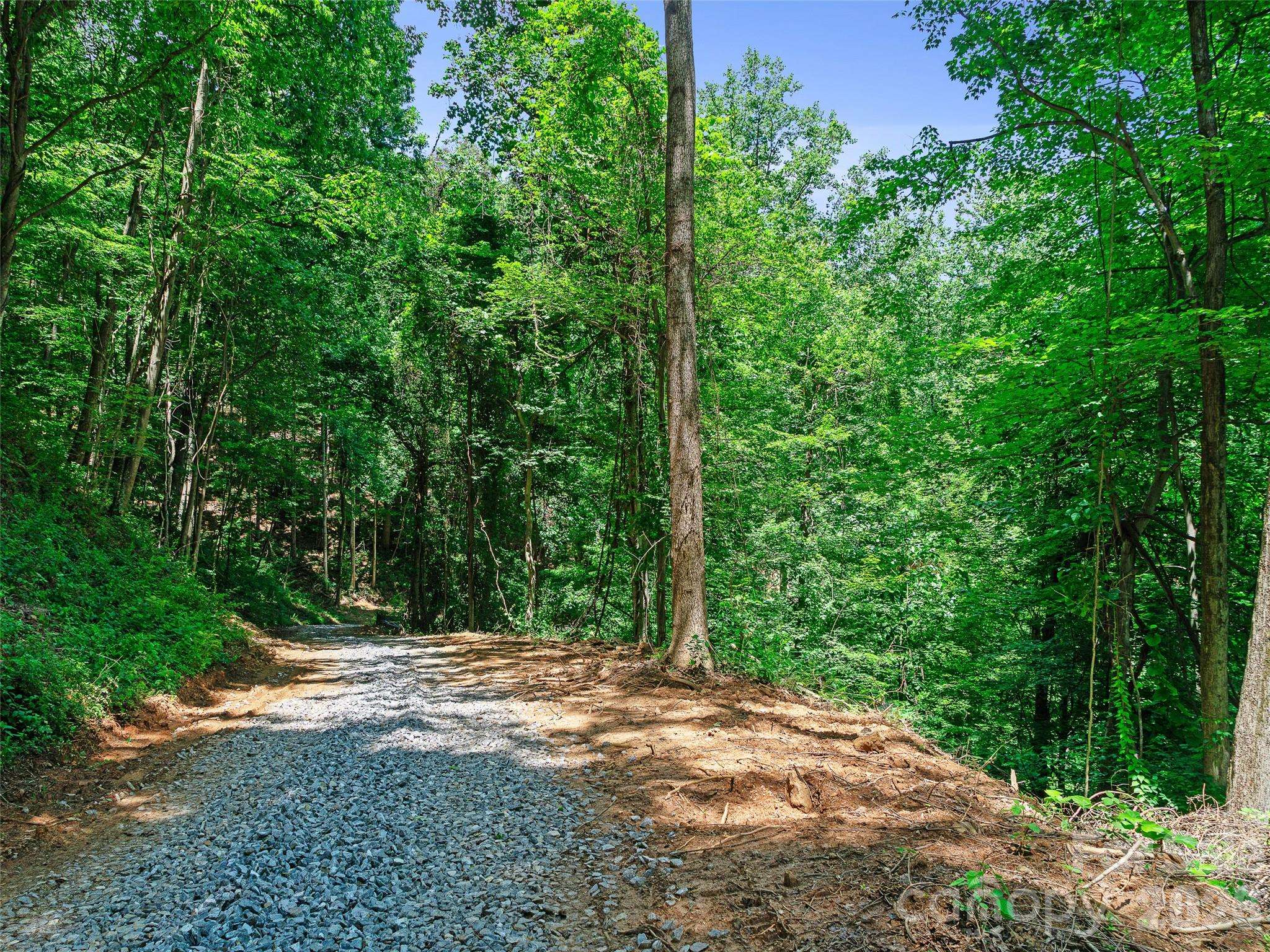 9999 Lovebird LN #20, Candler, NC 28715