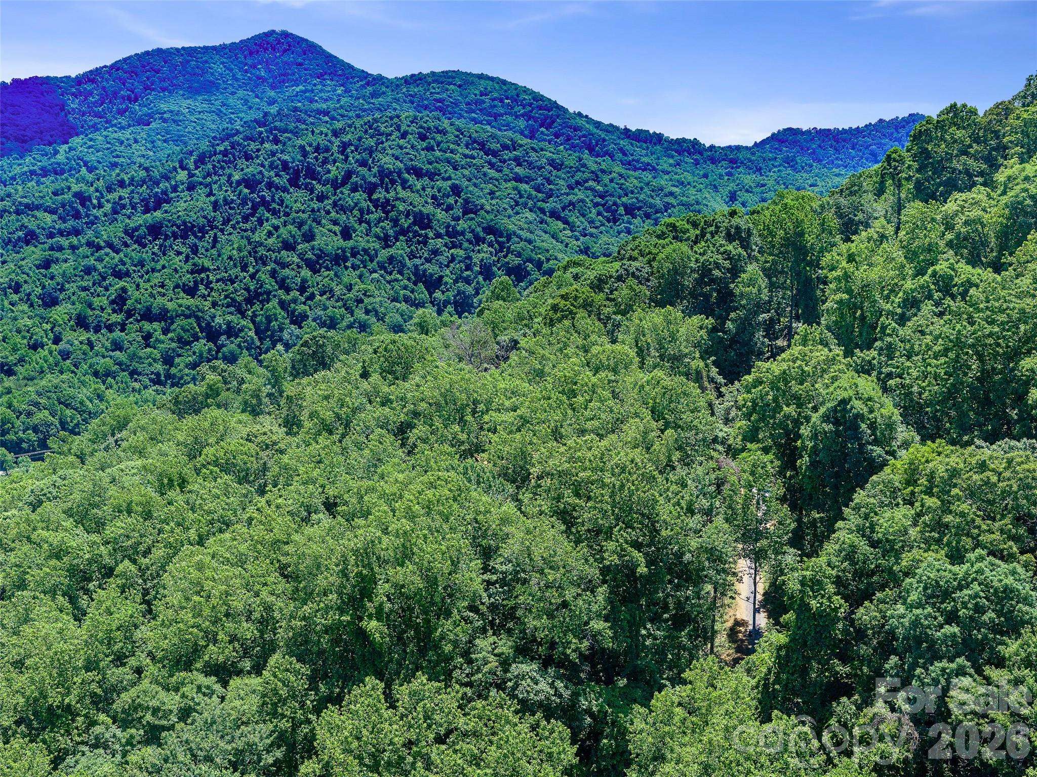 9999 Lovebird LN #23, Candler, NC 28715