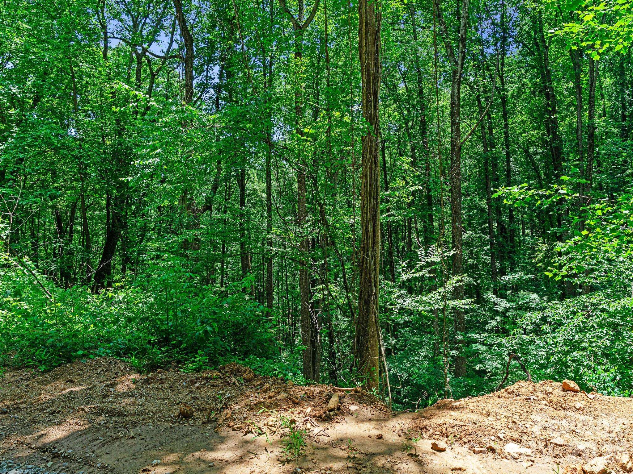 9999 Lovebird LN #23, Candler, NC 28715
