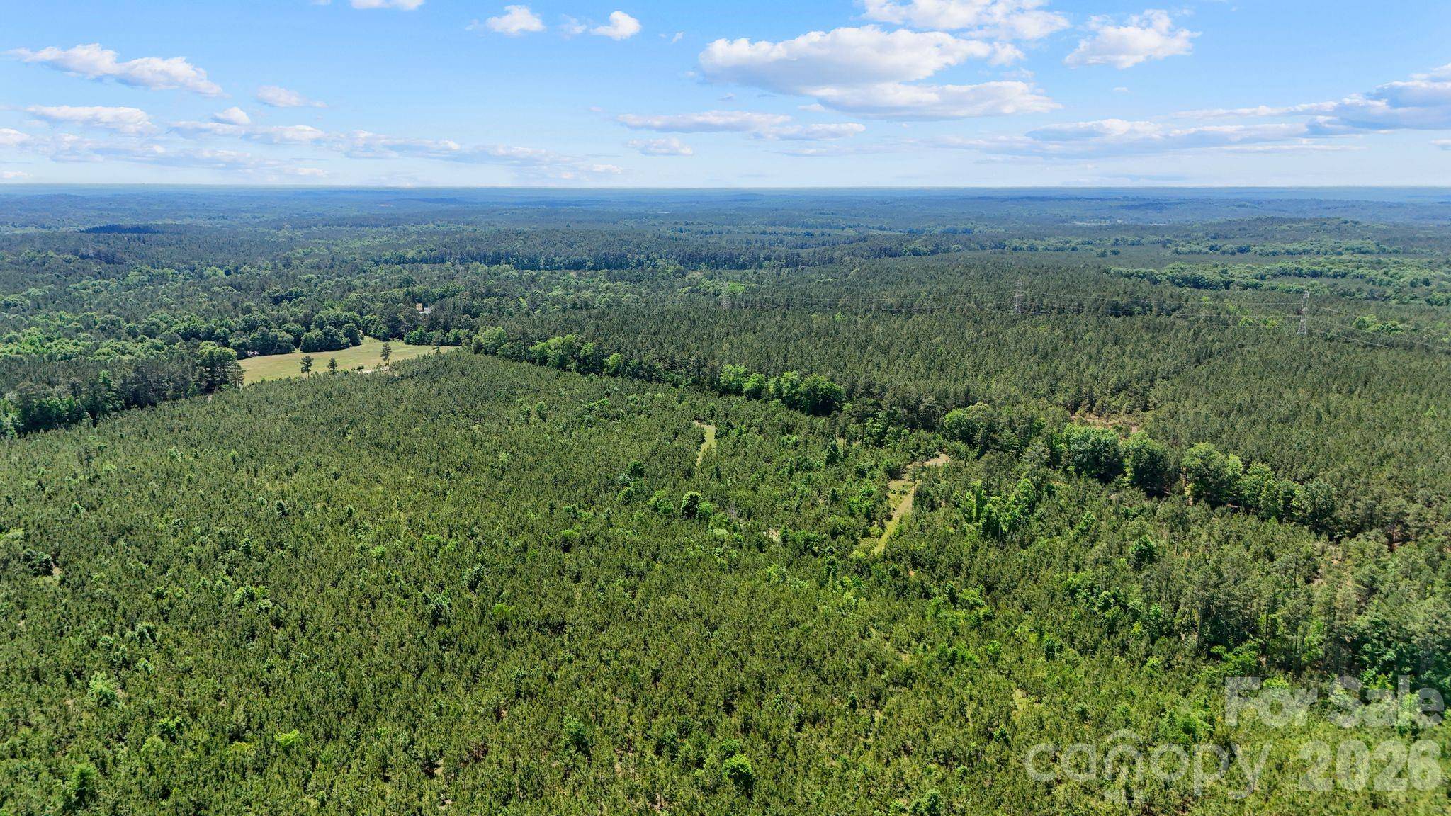 0000 Cool Branch RD #1, Carlisle, SC 29706