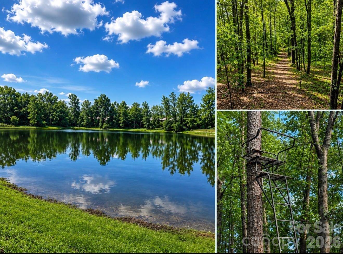 5453 White Plains Church RD, Pageland, SC 29728