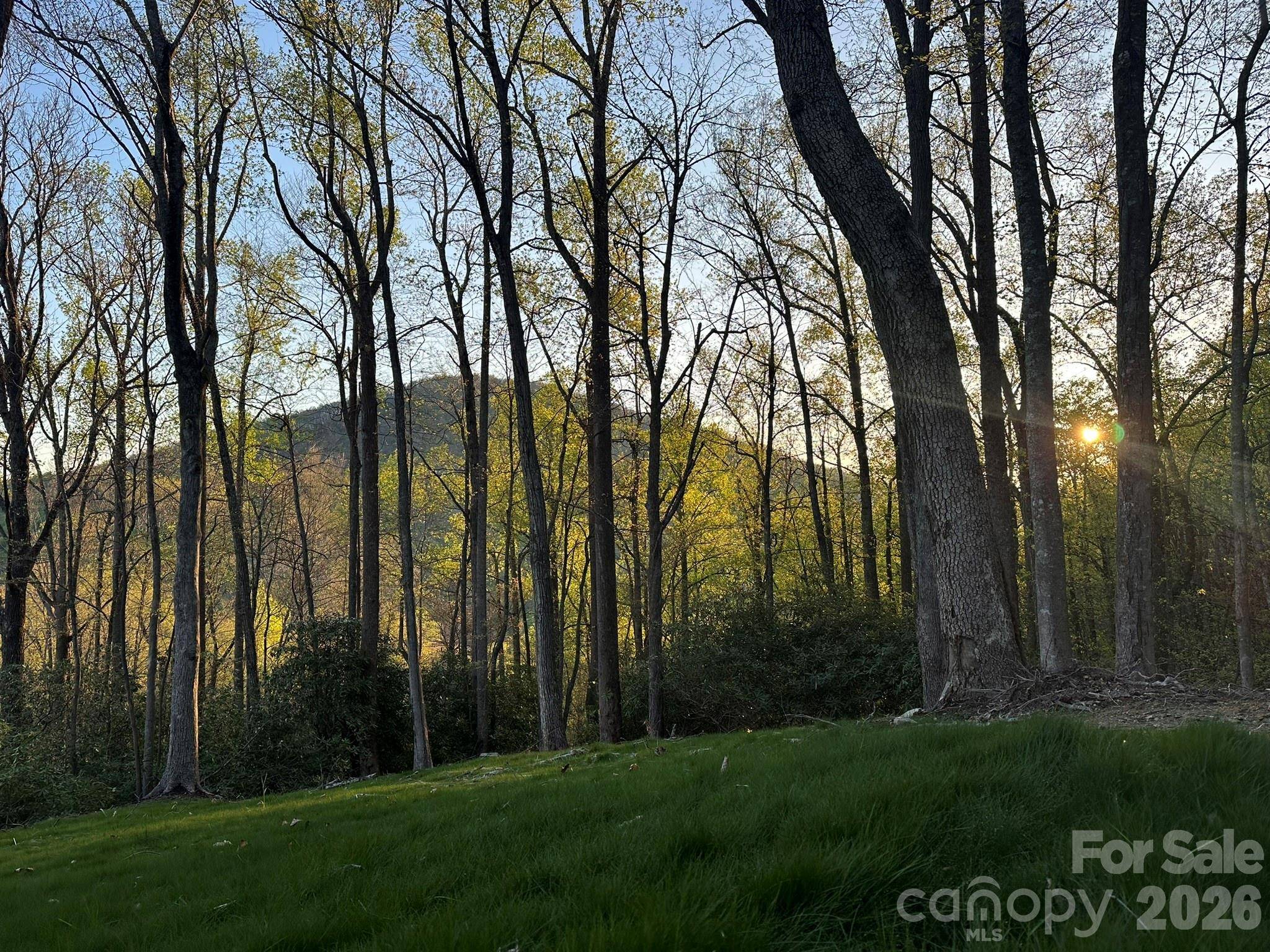 000 Hemlock Grove TRL #51, Fletcher, NC 28732
