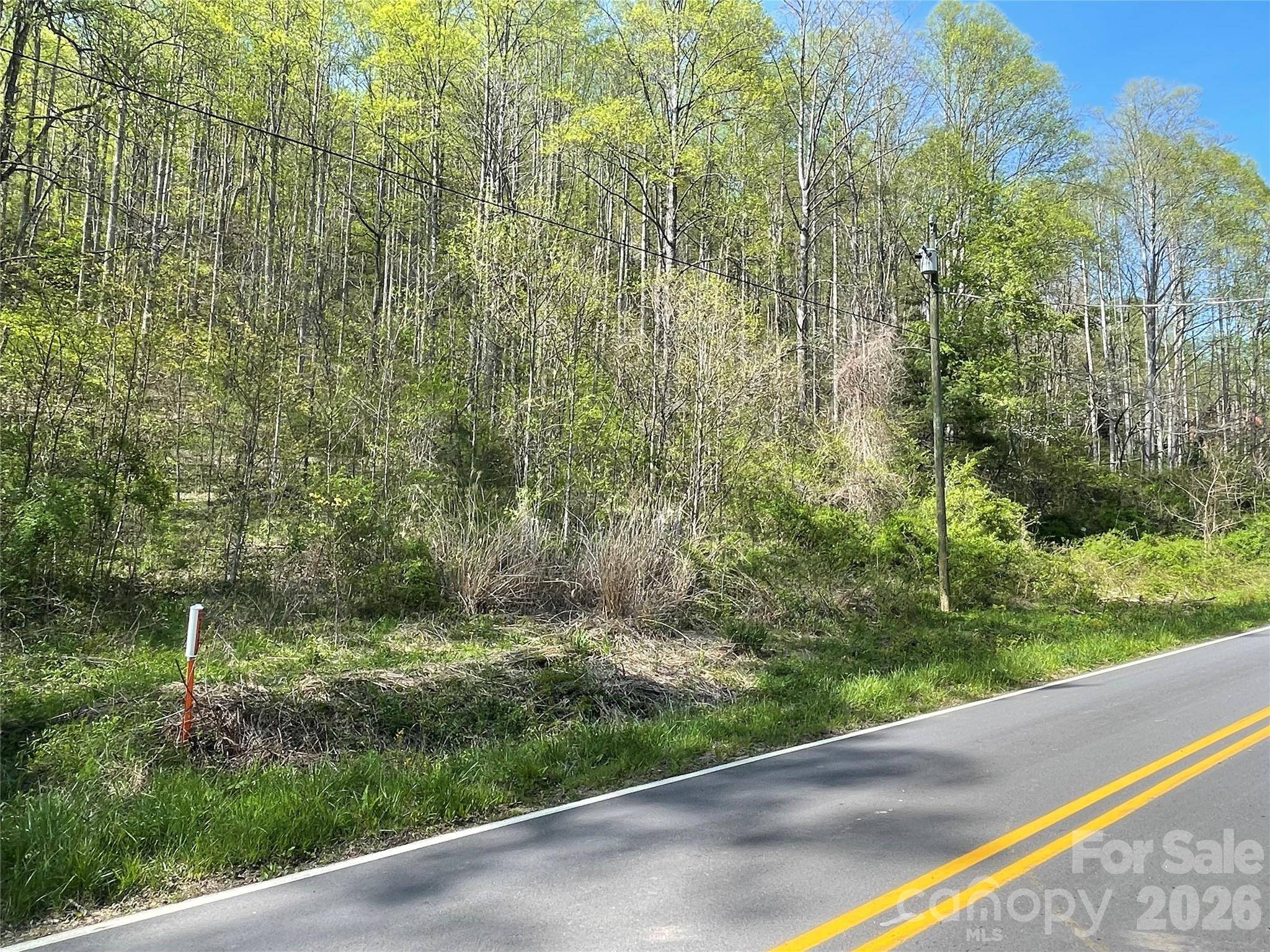 99999 Martins Creek RD, Barnardsville, NC 28709