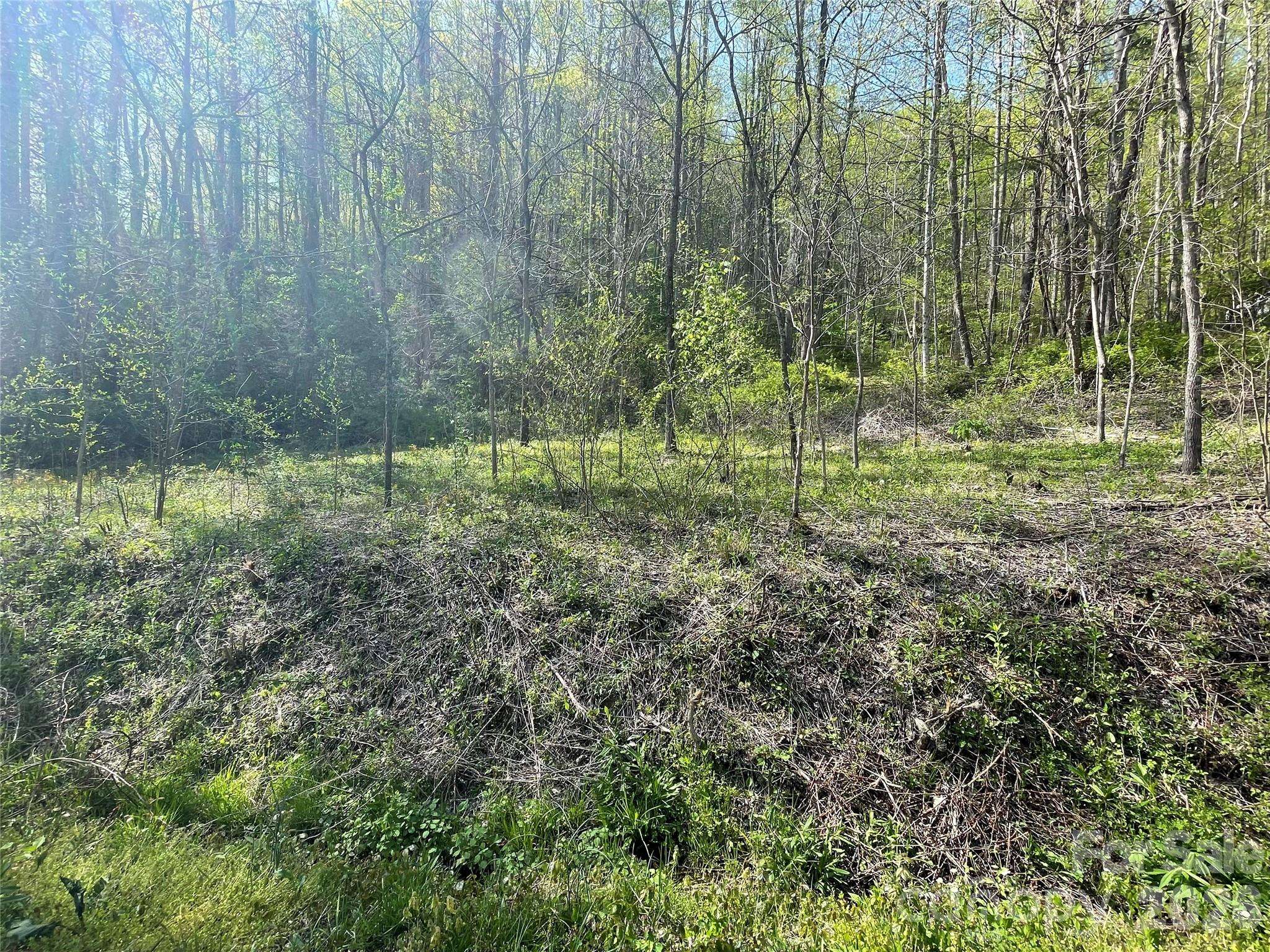 99999 Martins Creek RD, Barnardsville, NC 28709