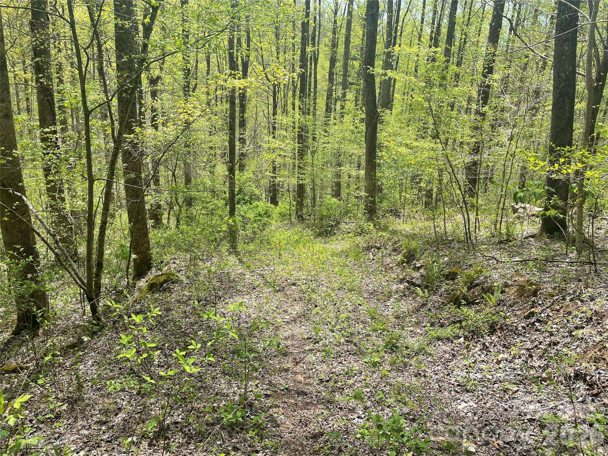 99999 Martins Creek RD, Barnardsville, NC 28709