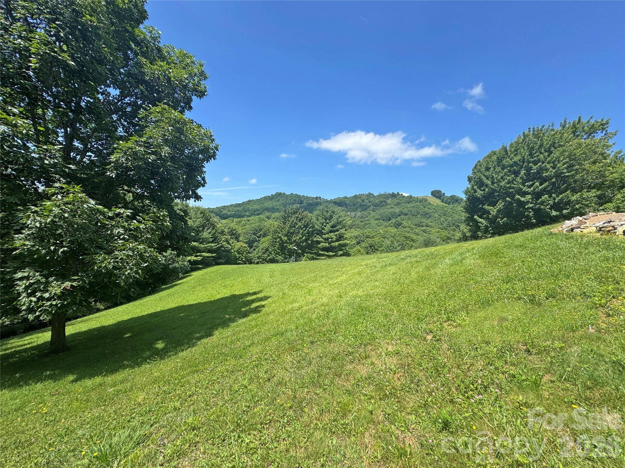 299 Basswood RD, Hot Springs, NC 28743