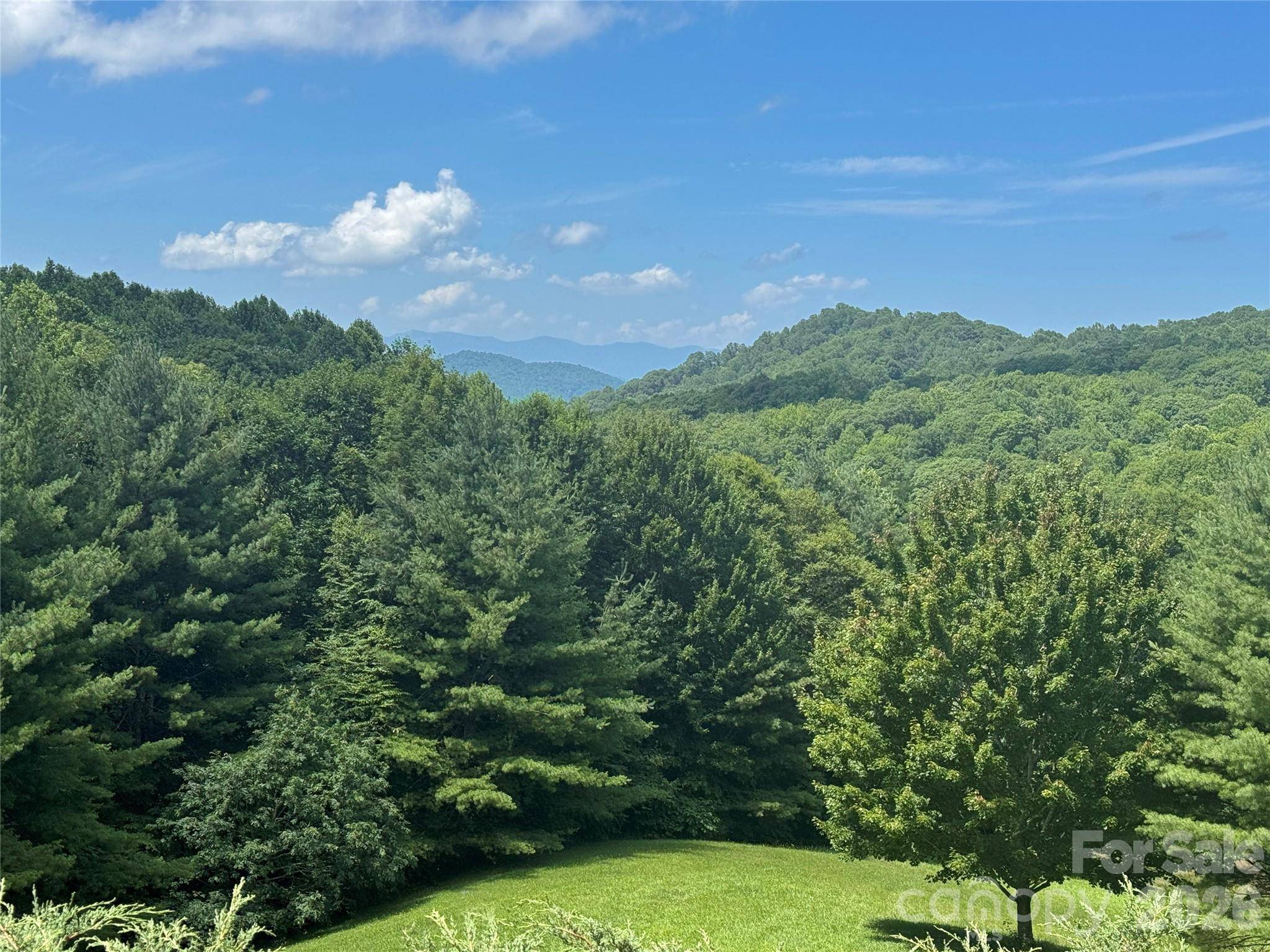 299 Basswood RD, Hot Springs, NC 28743