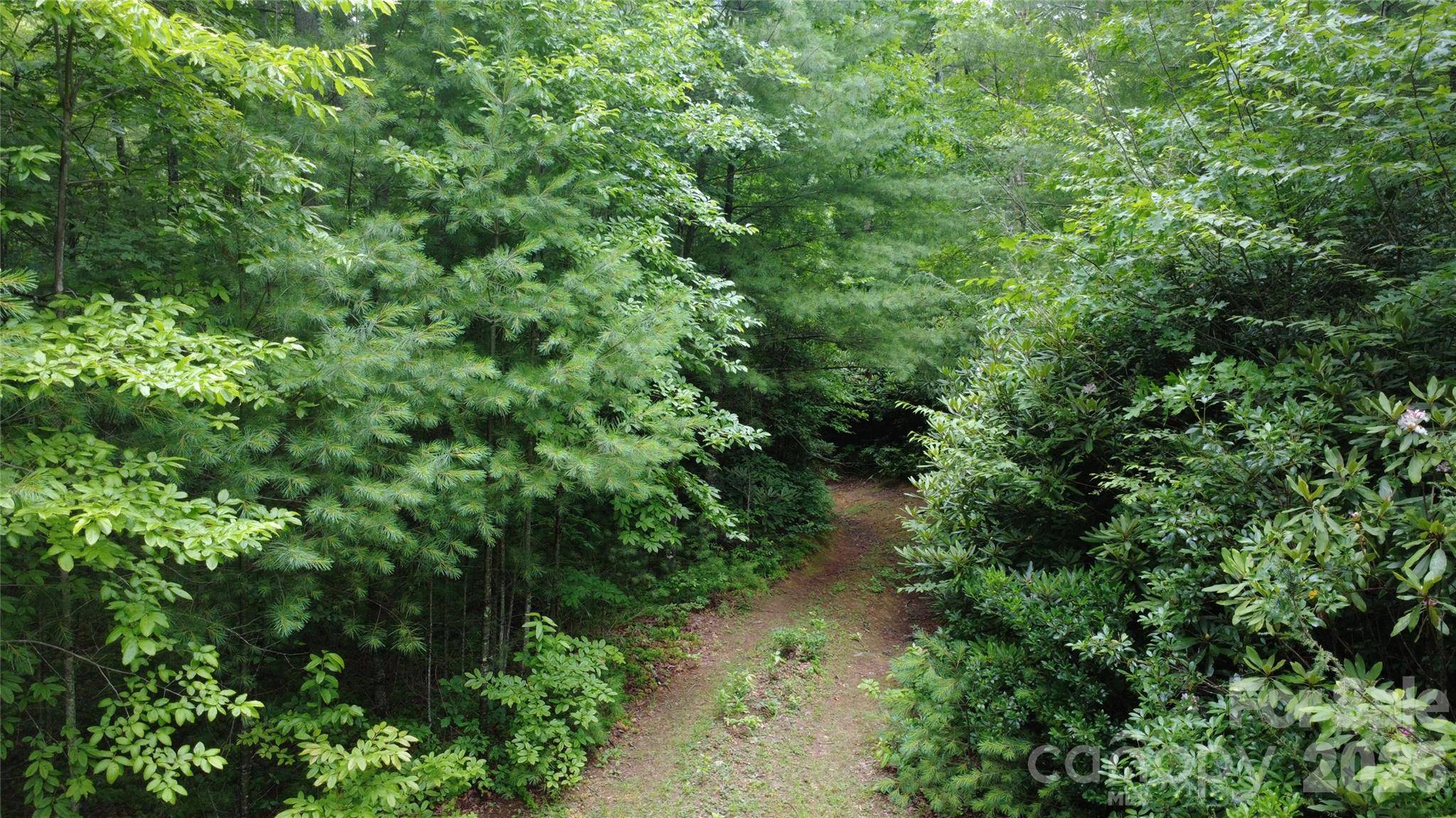 TBD Blowing Rock RD, Lenoir, NC 28645
