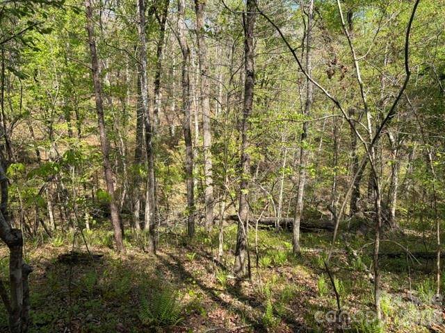 21 AC Sweet Hope Church RD, Carlisle, SC 29031
