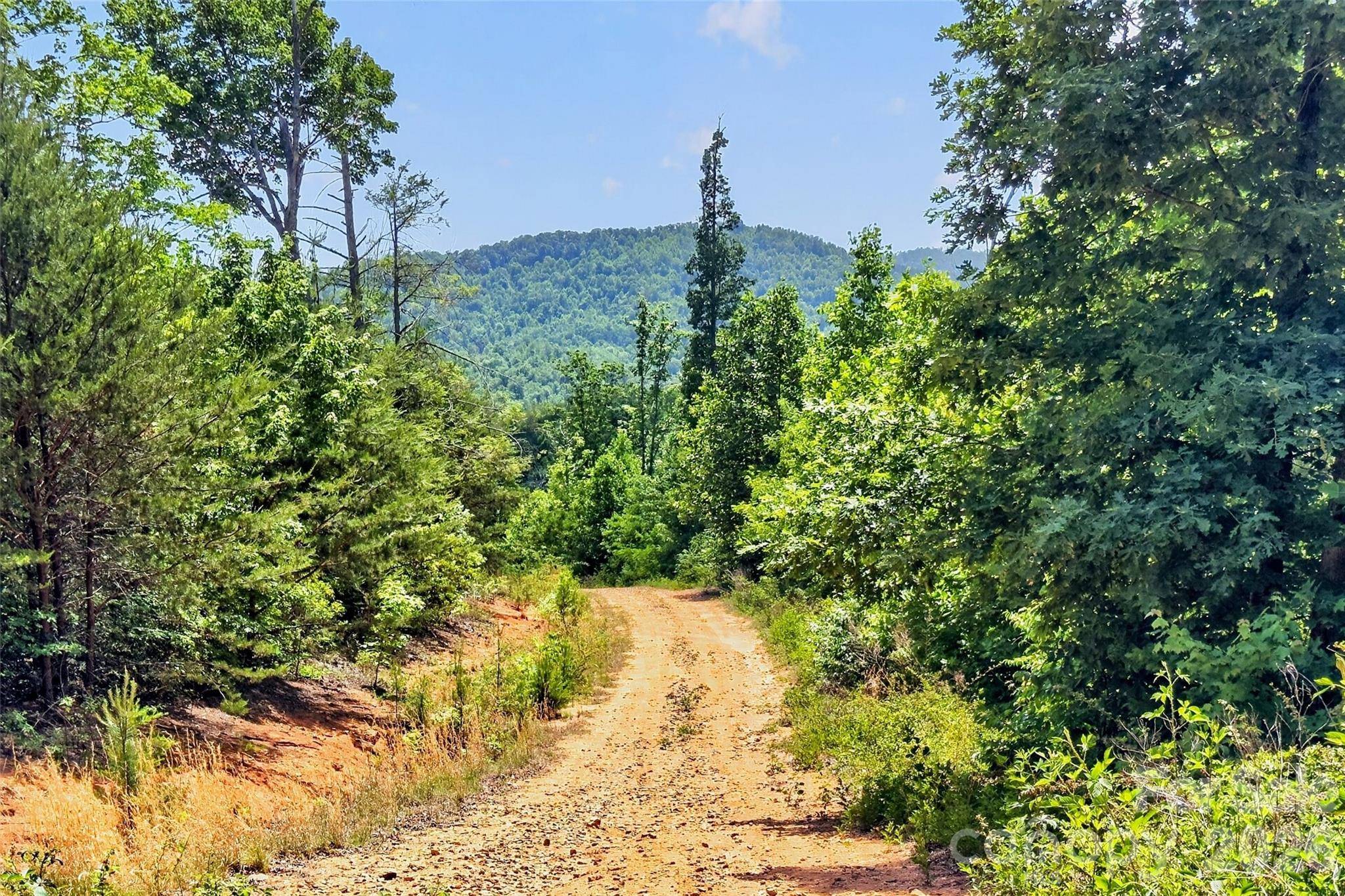 272 Randolph DR #1, Marion, NC 28752