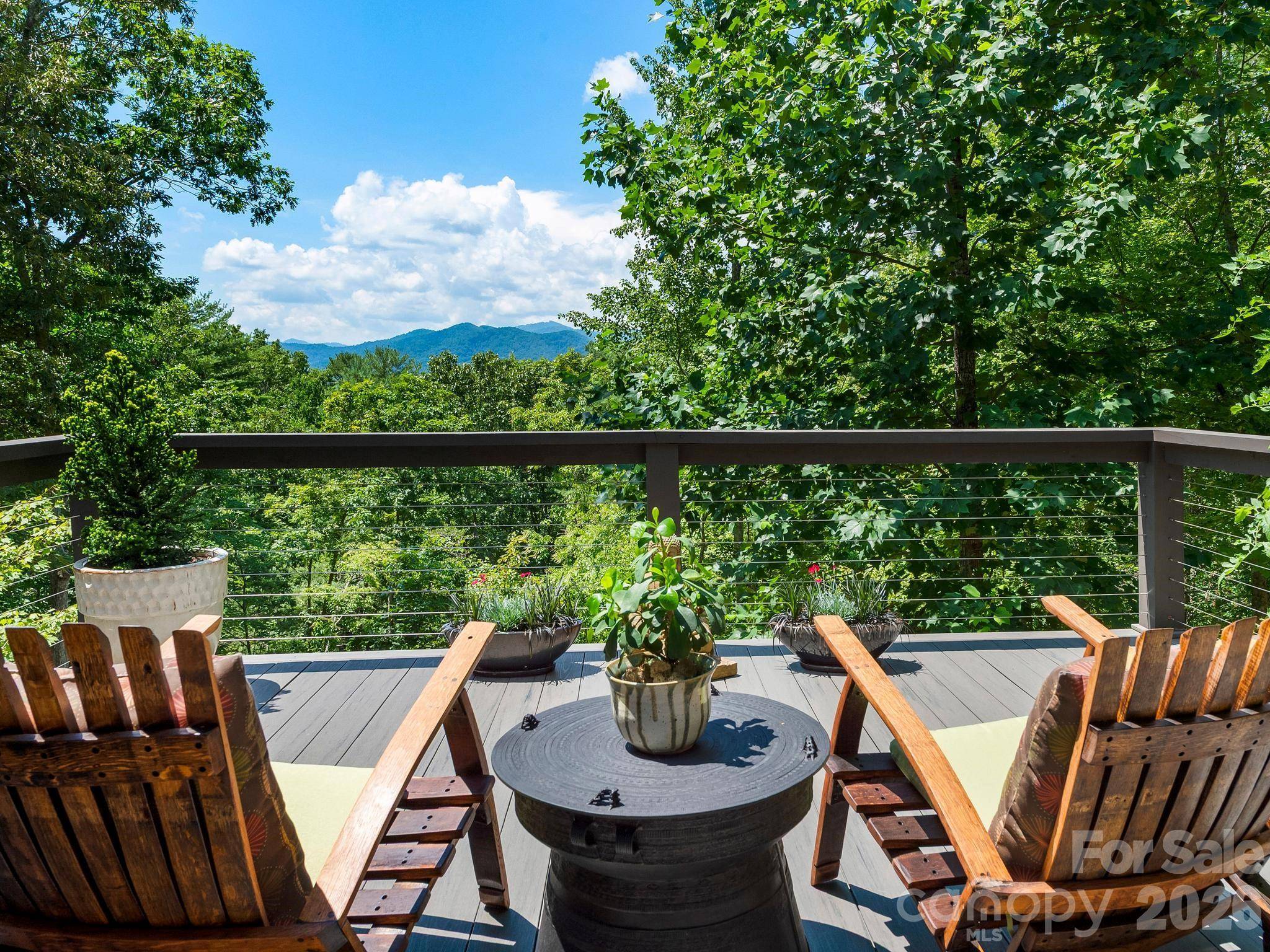 174 Dancing Wind LN, Marshall, NC 28753