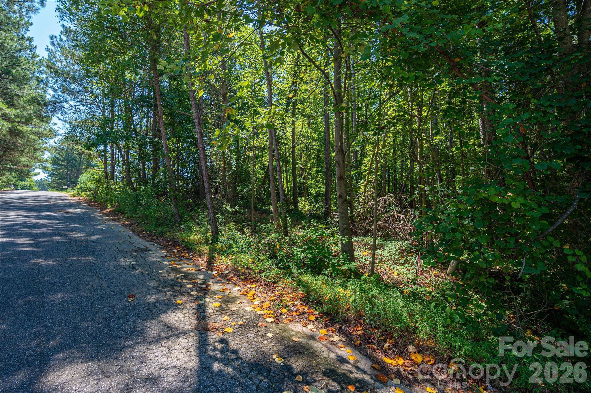 00 Knottywood LN #26, Vale, NC 28168