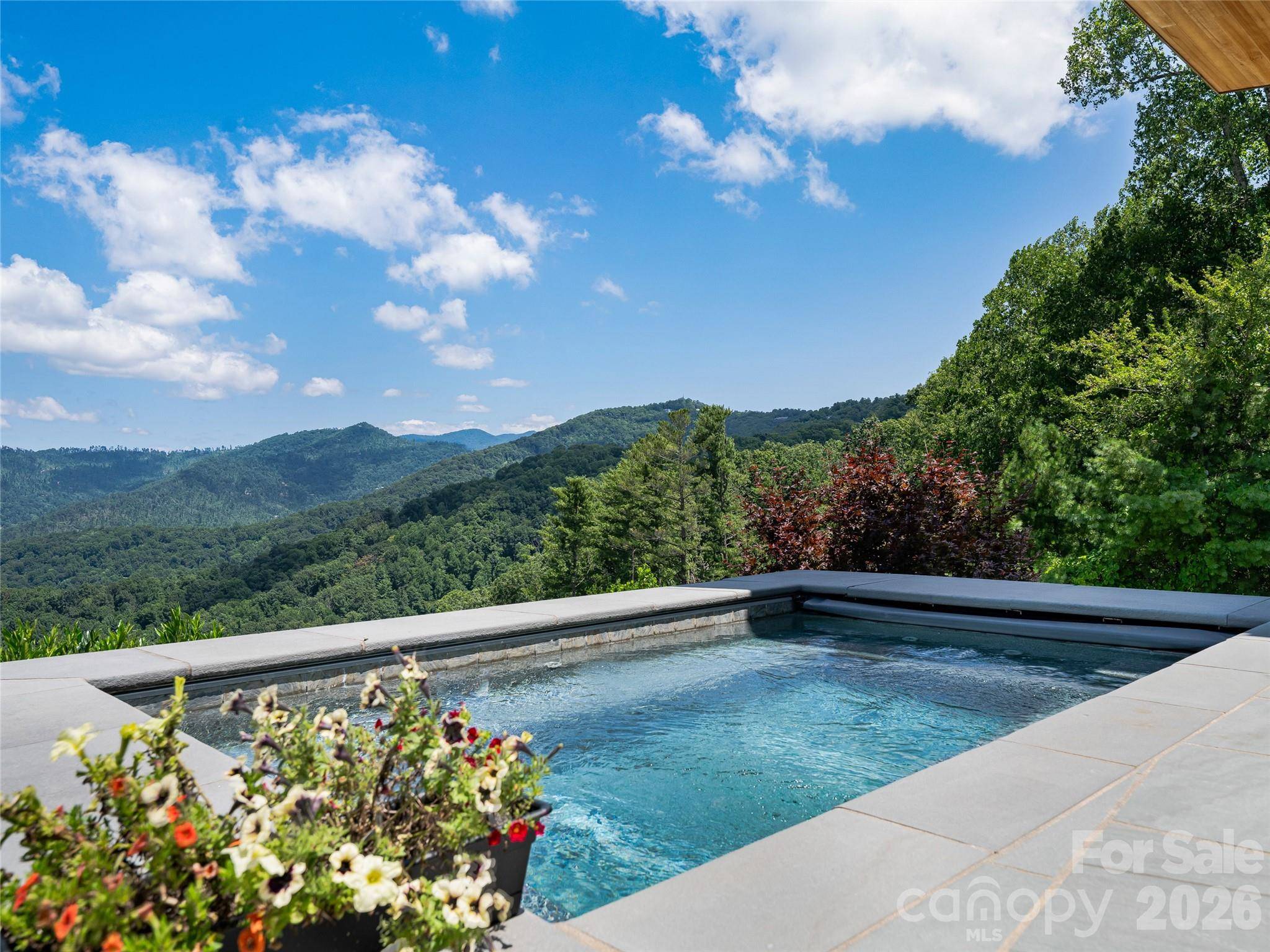 25 Bartrams Walk DR, Asheville, NC 28804
