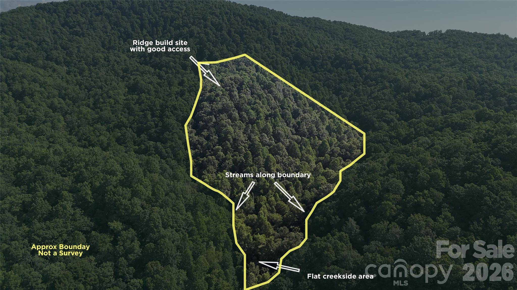 454 Forest Brook RD, Black Mountain, NC 28711