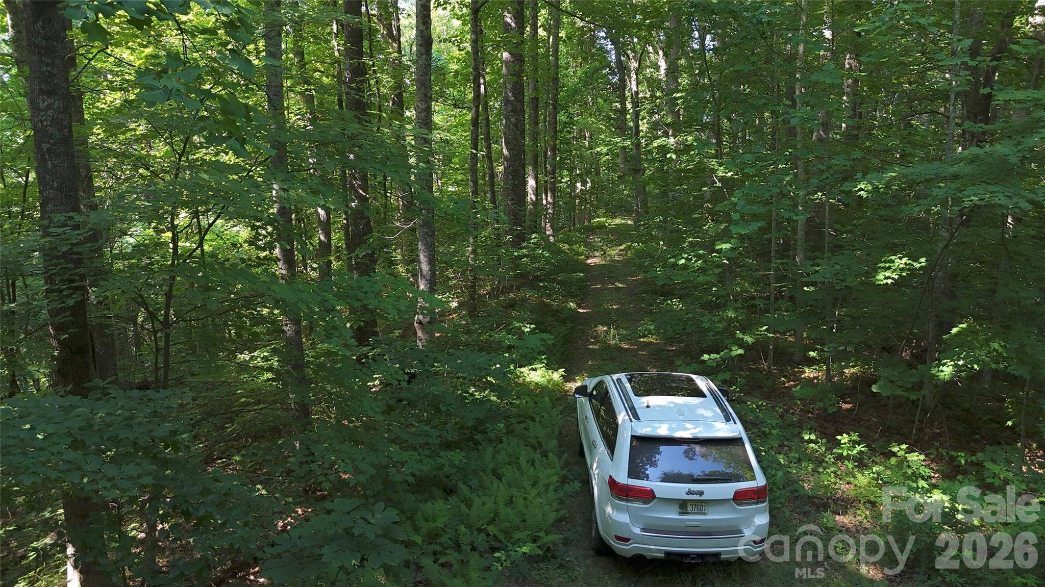 454 Forest Brook RD, Black Mountain, NC 28711