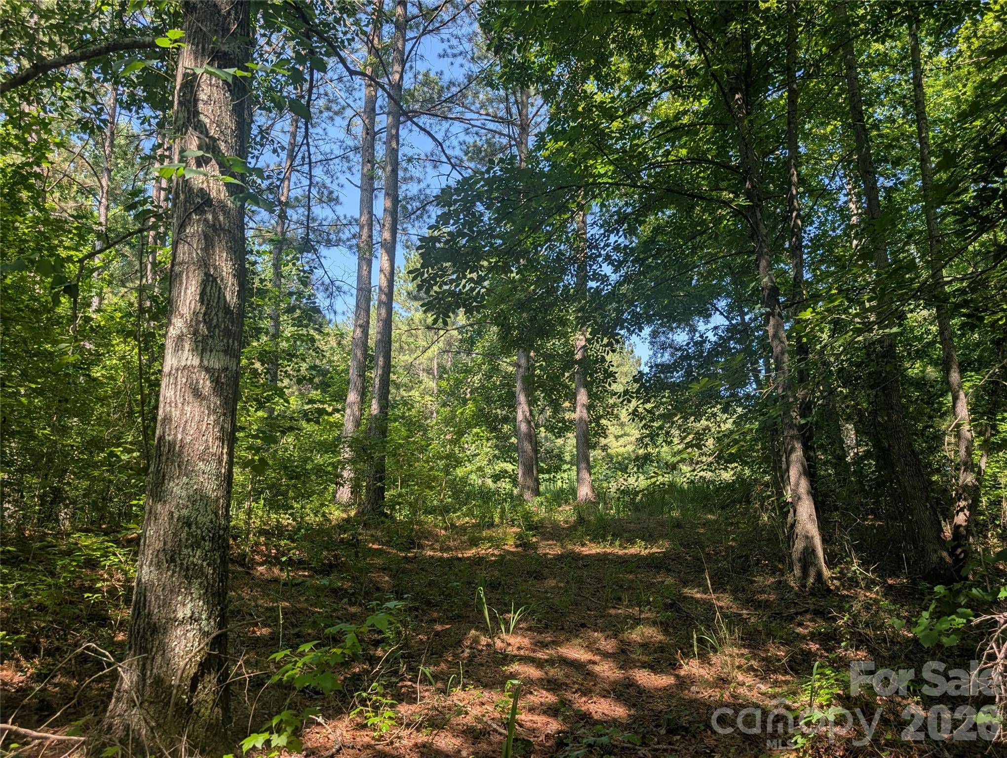 120 Scenic Ridge DR #36, Mooresboro, NC 28114