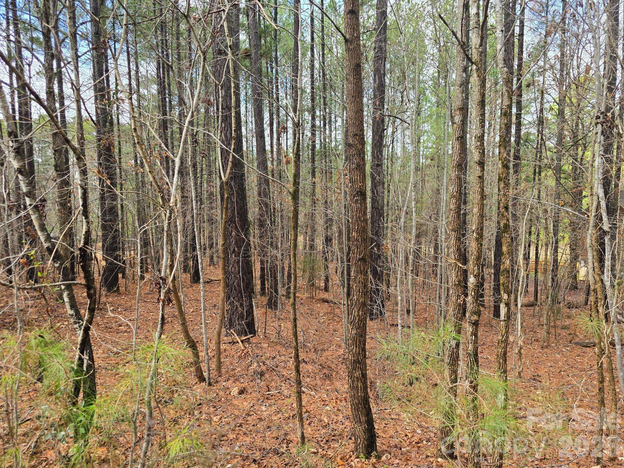 225 Cove Wood DR, Denton, NC 27239