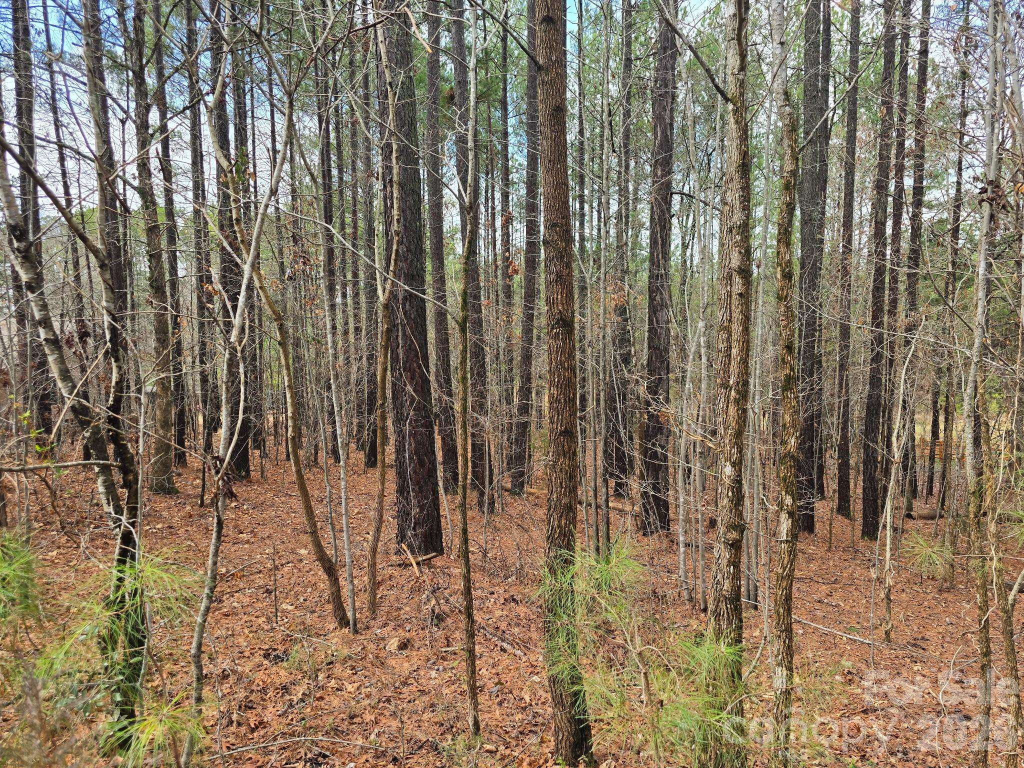 225 Cove Wood DR, Denton, NC 27239