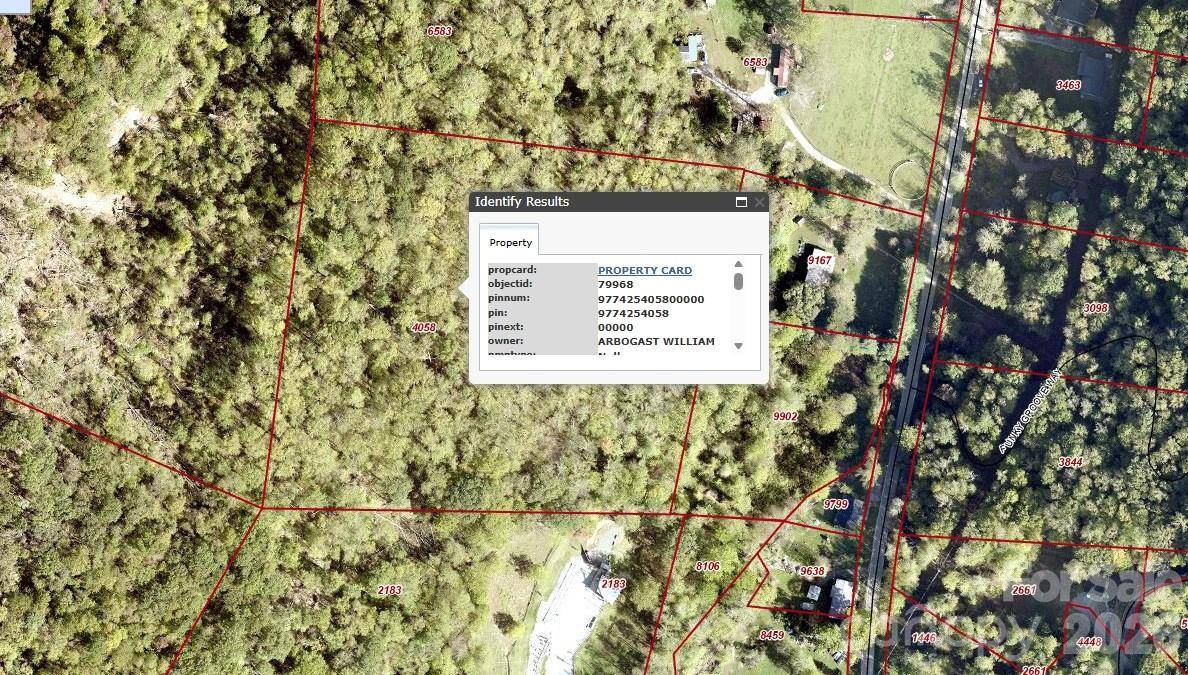 99999 Paint Fork RD, Barnardsville, NC 28709