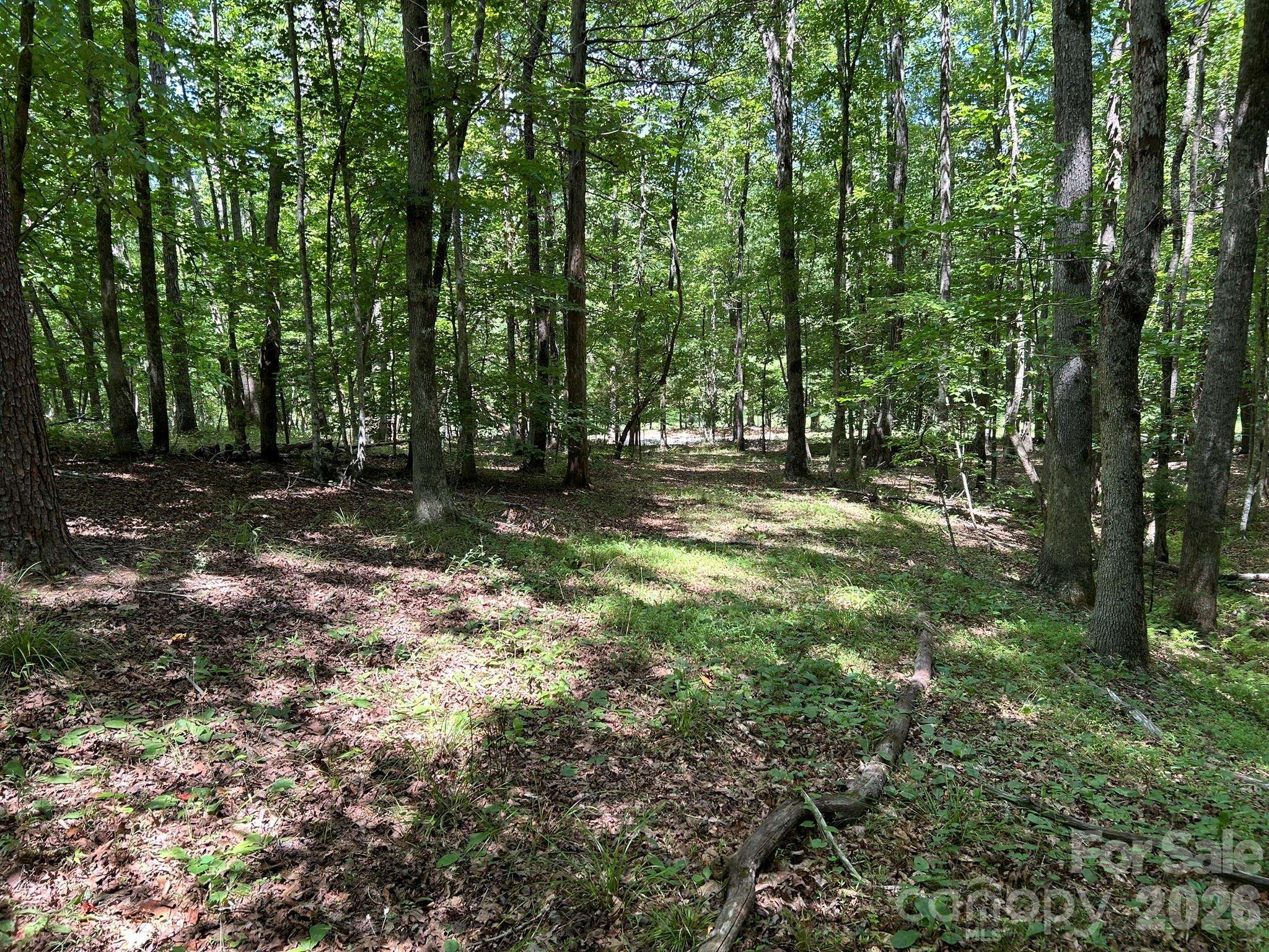 0 Wilderness RDG #4, Rutherfordton, NC 28139