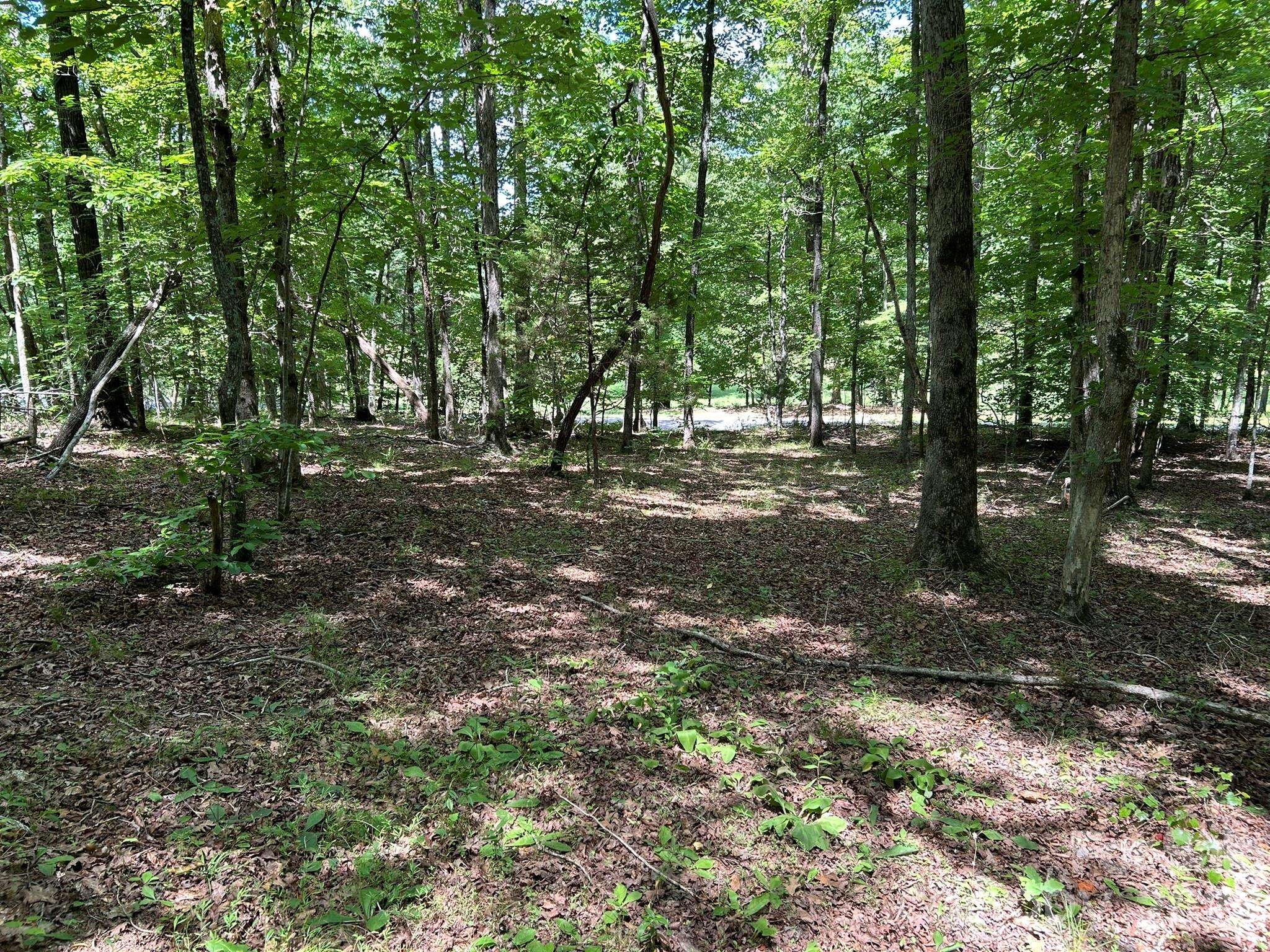 0 Wilderness RDG #4, Rutherfordton, NC 28139