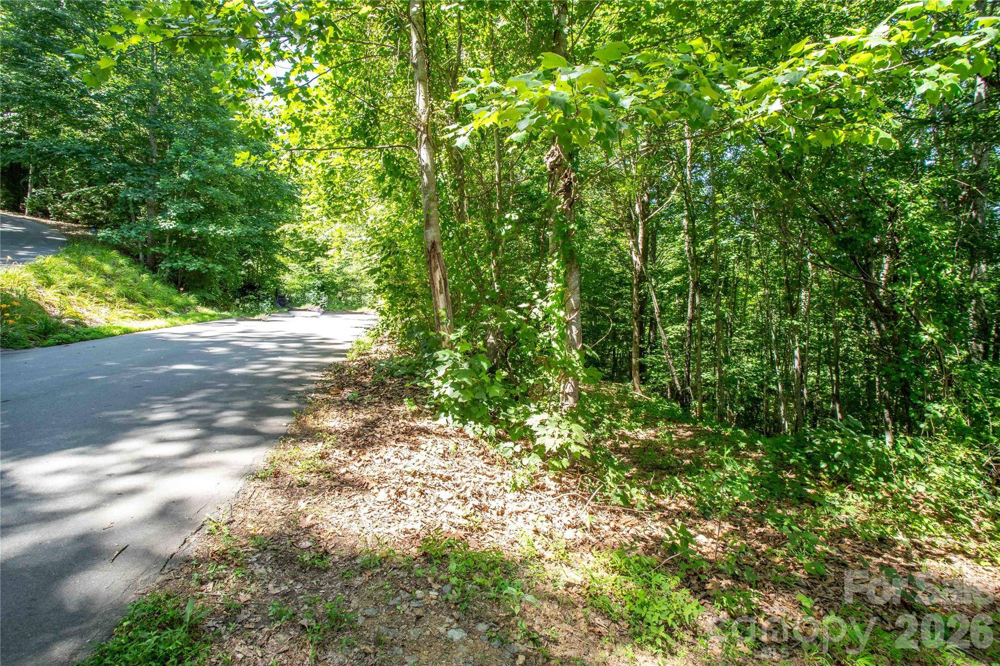 71 Timberwood DR, Asheville, NC 28806