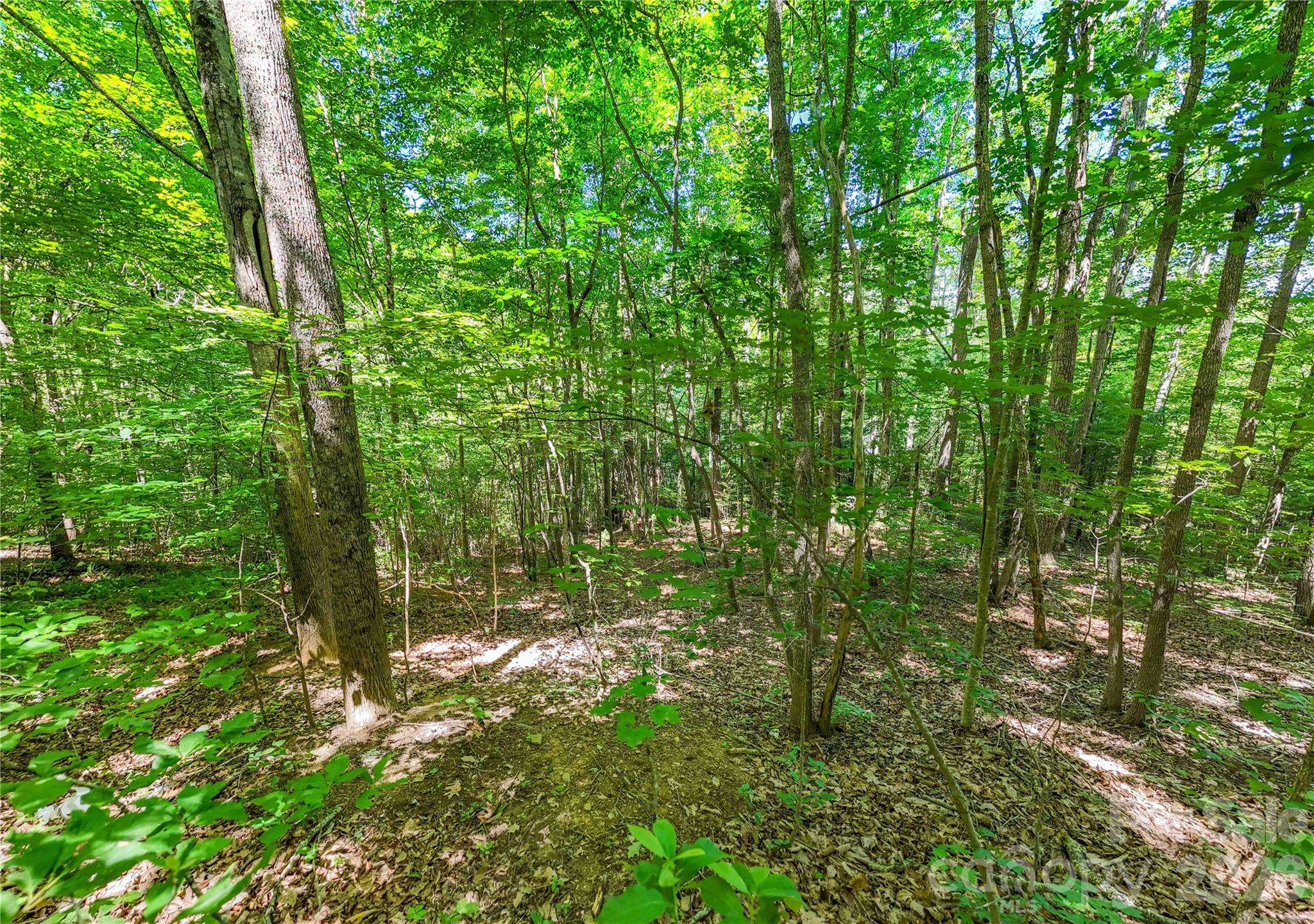 71 Timberwood DR, Asheville, NC 28806