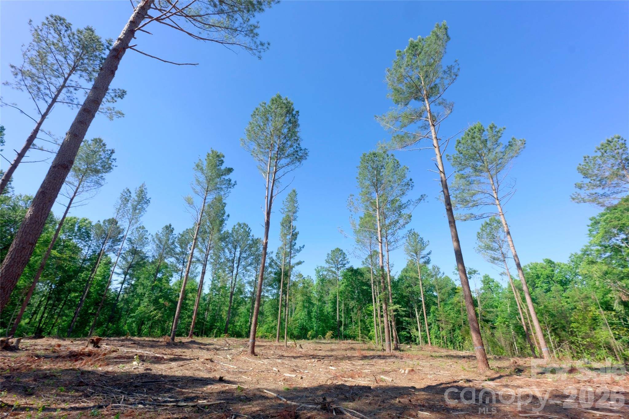 0 Carson RD #6, Cleveland, NC 27013